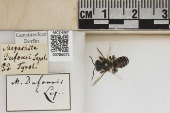 Media type: image;   Entomology 786071 Aspect: Labels